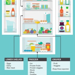 Refrigerator Maintenance - General Care & Tips